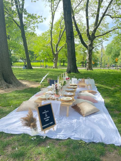 Picnic At Park Aesthetic, Outdoor Park Birthday Party Picnic Ideas, Birthday Picnics In The Park, Picnic Park Party, Simple Picnic Party, Central Park Birthday Picnic, Aesthetic Outdoor Birthday Party, Summer Park Birthday Party Ideas, Grad Picnic Ideas