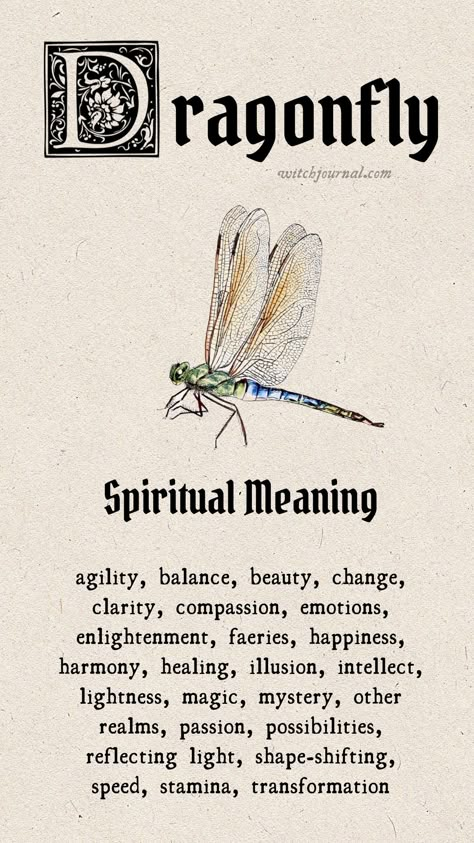 dragonfly tattoo ideas meaning Meaning Of Dragonfly Tattoo For Women, Symbolism Of Dragonflies, Dragonfly Tattoo Symbolism, Spiritual Tattoos Animals, Symbol Of Transformation, Spirit Guides Tattoo, Dragon Fly Spiritual Meaning, Dragonfly Symbolism Meaning, Symbol Of Resilience