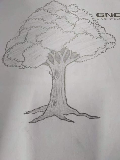 Tree Sketches Simple To Draw, Simple Forest Drawing, Easy Tree Drawing, How To Draw Roots Of A Tree, Roots Of A Tree Drawing, Gnarled Tree Drawing, Fantasy Tree Drawing, Quick Tree Sketch, Tree Trunk Drawing