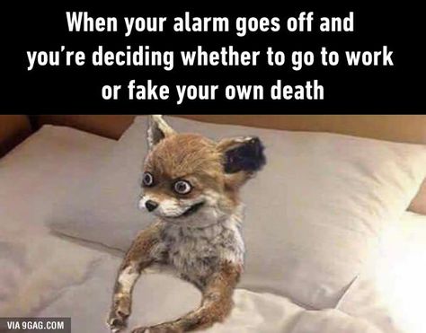 When your alarm goes off and you're deciding whether to go to work or fake your… Cant Sleep Meme, Yoga Puns, Yoga Meme, Yoga Humor, Sleep Meme, Yoga Quotes Funny, Gym Memes Funny, Cant Sleep At Night, When You Cant Sleep