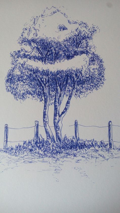 Ballpoint Pen Drawing Sketches, Tree Pencil Drawing, Tree Pencil Sketch, Tree Types, Pencil Drawing Ideas, Ballpoint Pen Art, Drawing Scenery, Ballpoint Pen Drawing, Pen Illustration