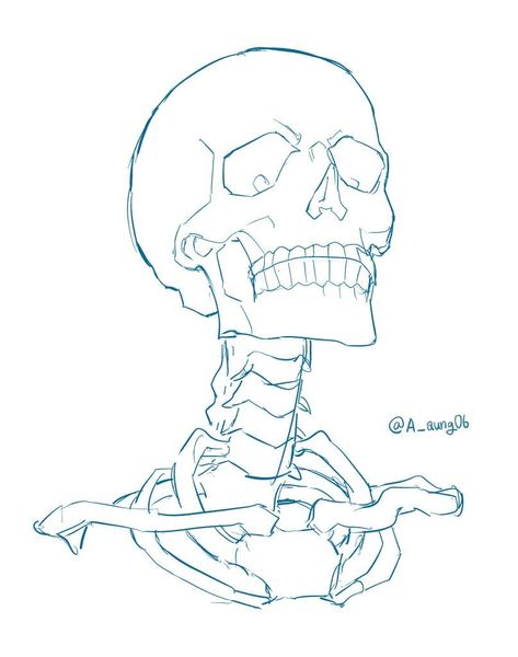 Skeleton Drawings, Skeleton Art, A Skeleton, Skull Drawing, Arte Sketchbook, Anatomy Art, Book Art Drawings, Art Tutorials Drawing, Art Drawings Sketches Simple