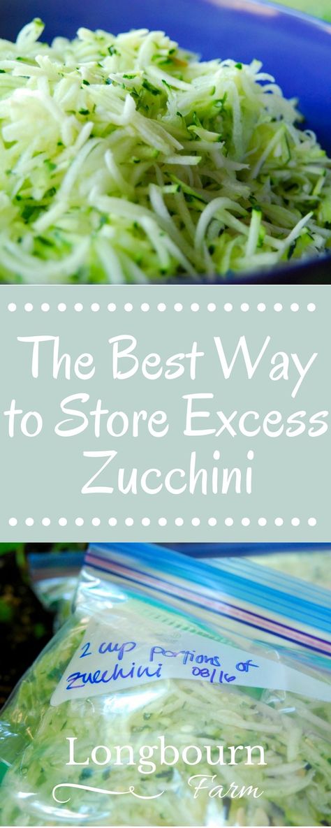 Find out the best way to store excess zucchini! Shredding and freezing it is the way to go! It's easy, fast, and lets you enjoy it all winter long. Can You Freeze Zucchini, Store Zucchini, Freeze Strawberries, Freezing Strawberries, Freezing Zucchini, Zucchini Recipes Dessert, Healthy Breakfast Snacks, Canning Vegetables, Fruit And Vegetable Storage