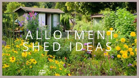 Allotment Shed Ideas: Things to Consider for the Best Allotment Shed Allotment Layout, Allotment Design, Allotment Shed, Insulating A Shed, Shed Ideas, Lost Garden, Allotment Gardening, Shed Base, Small Sheds