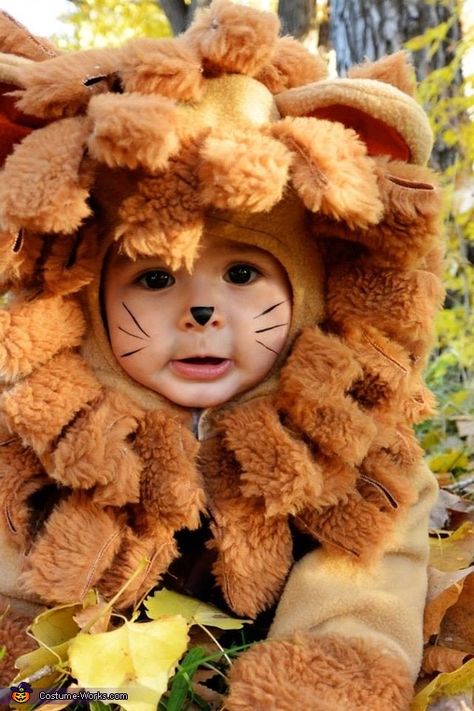 Baby Lion Costume, Lion Costume, Baby Lion, Asian Babies, Cute Costumes, Baby Halloween Costumes, First Halloween, A Lion