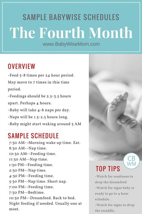 Sample Babywise Schedules | three month old schedules | sample baby schedules | #babywise #babyschedule Baby Wise Schedule Newborns, Three Month Old Schedule, Baby Routines, Babywise Schedule, Baby Sleep Training, Baby Wise, Newborn Schedule, Baby Care Essentials, Baby Schedule