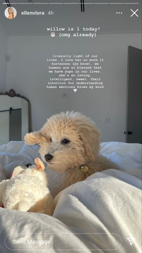 Dog Captions For Insta Story, Captions Dogs Instagram, Caption For Dogs Instagram Story, Instagram Bio Ideas Dog Mom, Dog Story Caption, Happy Birthday Dog Insta Story, Dog Lover Bios For Instagram, Instagram Pet Captions, Cute Puppy Captions