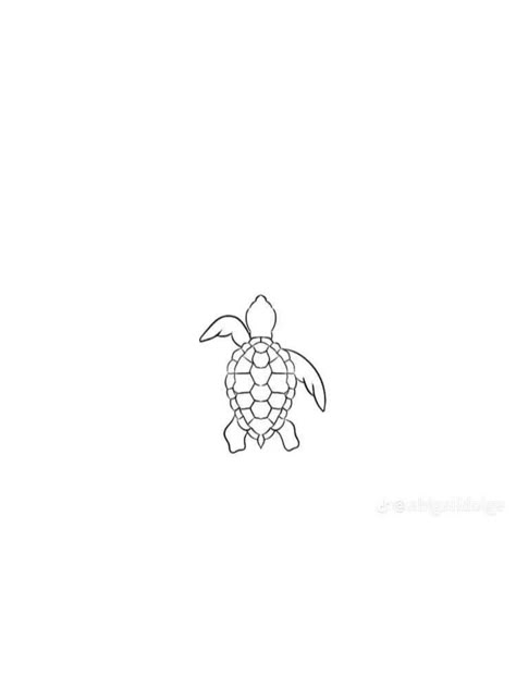 Basic Turtle Tattoo, Starfish Line Tattoo, Sea Life Tattoos Simple, Sea Turtle Tattoo Stencil, Small Turtle Drawing, Fine Line Turtle Tattoo Simple, Dainty Sea Turtle Tattoo, Small Tattoos Turtle, Turtle Small Tattoo