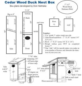 Wood Duck Basics – Bluebirds Across Nebraska Wood Duck House, Duck House Plans, Bluebird House Plans, Bat House Plans, Bird House Plans Free, Planter Box Plans, Wooden Bird Houses, Bird House Plans, Duck House