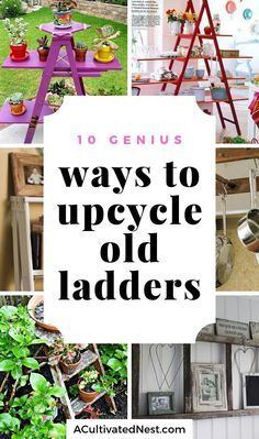 Fun Ways to Use Old Ladders In Your Home- Instead of throwing away old ladders, upcycle then instead with these clever DIY ladder projects! There are so many ways to repurpose old ladders! | ladder decor tutorial, how to use old wooden ladders, #DIY #upcycle #repurpose #ACultivatedNest Old Wooden Ladder Ideas, Old Ladders Repurposed, Step Ladder Ideas, Wooden Ladder Ideas, Old Ladder Decor, Garden Ladder Ideas, Ladders In The Garden, Wood Ladder Decor, Old Ladder Ideas