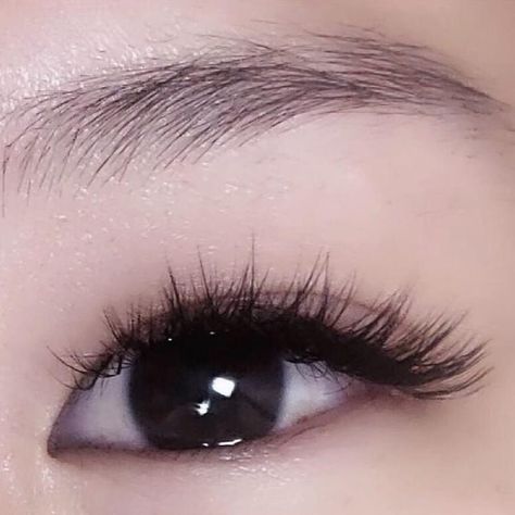 L Curl Lashes, Monolid Eyes, Monolid Makeup, Cute Eyeshadow Looks, Volume Lash Extensions, Doll Eye Makeup, Eyelash Extentions, Curl Lashes, Curling Eyelashes