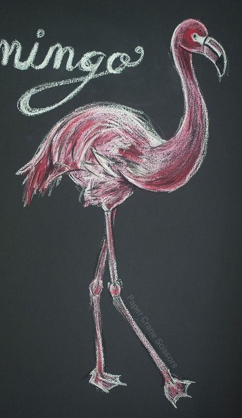 Chalk Borad Art: Flamingo from Paper Crane Scissors Flamingo Chalk Art, Animal Chalk Art, Chalk Animals, Crane Scissors, Summer Chalkboard Art, Chalk Wall Art, Chalk Markers Art, Chalkboard Art Diy, Chalk Prints