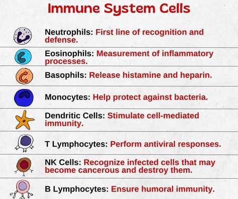 X Immune System Nursing, Hematology Nursing, Immune System Cells, Pediatric Medicine, Body Chart, Medical Words, Nursing School Essential, Nurse Study Notes, Nursing Student Tips