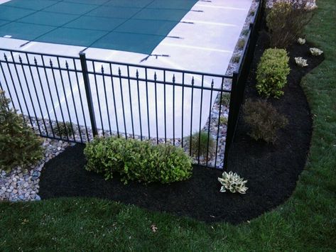 Cheap Inground Pool, Pool Fencing Landscaping, Landscaping Around Pool, Pool Landscape Ideas, Inground Pool Landscaping, Oasis Pool, Pool Fencing, Swimming Pool Landscaping, Pool Landscape