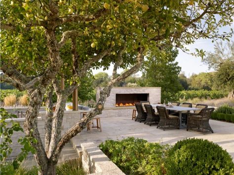 Moroccan Terrace, Fast Growing Shade Trees, Palm Court, Farmhouse Patio, Wine Country California, Dry Creek, Casa Exterior, Fire Features, Country Landscaping