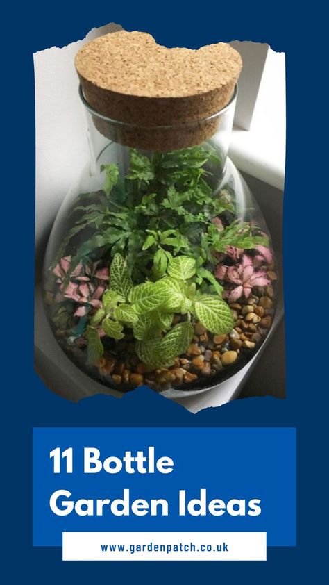 If you’re craving some nature but are lacking outdoor square footage, it’s time to learn how to grow a bottle garden. Sealed Terrarium Bottle Garden, Growing Plants In Glass Bottles, Plants In Glass Bottles, Garden In A Bottle, Bottle Garden Ideas, Ecosystem In A Bottle, Bottle Terrarium, Plant In Glass, Plants In Bottles