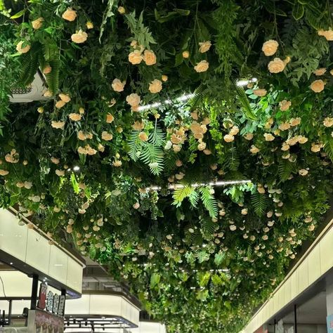 🌿💐🏡🍃A breathtaking oasis with our artificial flower ceiling decorations. Perfect for restaurants, indoor living rooms, and any area in need of a fresh, natural touch, these green plant and floral arrangements bring the outdoors in. Elevate your decor with vibrant, lush greenery and soft floral art that creates an inviting and serene atmosphere right above your head. Search Tags: #CeilingDecor #ArtificialFlowers #GreenPlantDecor #IndoorOasis #LivingRoomDecor #RestaurantDesign #CeilingArt #Flo... Greenery Ceiling, Ceiling Decorations, Flower Ceiling, Ceiling Art, Flowers Decoration, Soft Floral, Lush Greenery, Ceiling Decor, Fake Flowers