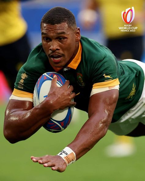 Damian Willemse, Gertrude Ederle, Rugby Wallpaper, Springboks Rugby, Knute Rockne, Springbok Rugby, Rugby Boys, Ernie Banks, Rugby Sport