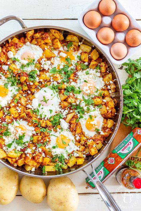 Chorizo And Potatoes Breakfast, Breakfast Chorizo, Chorizo Hash, Fresco Cheese, Queso Fresco Cheese, Chorizo Breakfast, Chorizo And Potato, Best Brunch Recipes, Breakfast Hash