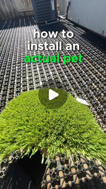 Sheldon Santos on Instagram: "Pet turf is not a thing..  The reality is a “pet turf” is not exactly a thing. I challenge you to think about it. Why would a shorter turf or a different infill make it for pets?  Your install has far more to do with making the job a pet turf than the actual turf. Having said that we absolutely have more pet specific products but the name of the game is draining ability!  The better your area drains the easier it is to clean your turf. This system we use with the flow thru turf is in my opinion the best solution to pets and turf these days.  What do you think?  #turf #dogs #germanshepherd #bulldog #labrador #goldenretriever #husky #beagles #malamute #chihuahua #bordercollie #dachshund #rottweiler #terrier #sacramento #lodi #stockton #modesto #manteca #bayarea" Artificial Turf Backyard Ideas For Dogs, Pet Turf Backyard Ideas, Gravel And Turf Backyard, Diy Artificial Turf Installation, Dog Friendly Yard Ideas, Astro Turf Garden Ideas, Turf Dog Run, Turf Backyard Ideas, Astro Turf Garden