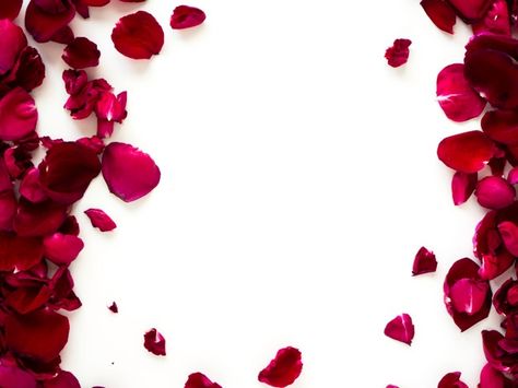 Romantic red rose petals on white backgr... | Premium Photo #Freepik #photo #background #pattern #flower #frame Red Rose With White Background, Colorful Candy Bar, Photo Romantic, Romantic Room Decoration, Product Background, Yellow Bouquets, Romantic Room, Red Rose Petals, Rose Background