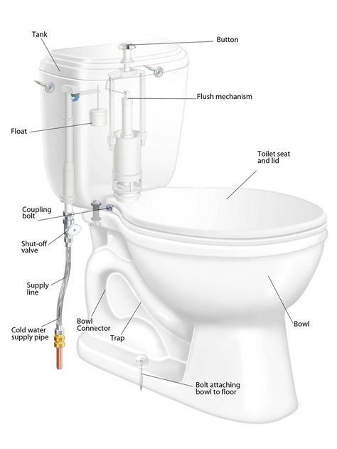 Remove and Replace a Toilet:  From DIYNetwork.com from DIYnetwork.com Toilet Pictures, Pvc Pipe Fittings, Hardwood Floor Cleaner, Cleaning Painted Walls, Plumbing Installation, Glass Cooktop, Diy Plumbing, Deep Cleaning Tips, Plumbing Repair