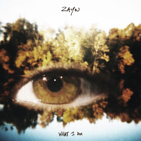 What I Am - Single by ZAYN | Spotify Zayn Album, Zayn Malik Songs, Genius Lyrics, Am I Crazy, Music Journal, Zayn Malik Pics, Music Pics, What Am I, Pop Songs