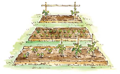 ELAYNE SEARS  Simple, low-cost framing can be made for your permanent vegetable beds using logs or recycled cedar fence rails. Leaving the ends open makes it easier to use a tiller to prepare seed beds.    Read more: http://www.motherearthnews.com/multimedia/image-gallery.aspx?id=2147498850=1#ixzz26w0Ztt00 Guerilla Gardening, Vege Garden, Gardening Club, Building Garden, Mother Earth Living, Starting Seeds, Food Gardening, Vegetable Garden Planning, Garden Growing