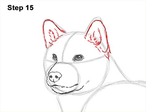 Draw a Shiba Inu Dog 15 Shiba Inu Drawing Reference, Shiba Inu Puppy Drawing, Shiba Drawing, Shiba Inu Drawing, Dog Drawing Tutorial, Draw A Dog, Dog Design Art, Cute Dog Drawing, Drawing Instructions