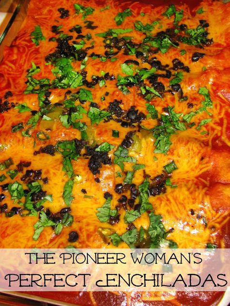 Pioneer Women Beef Enchiladas, Six Sisters Enchiladas, Pioneer Woman Curry In A Hurry, Pioneer Woman Enchilada Casserole, Pioneer Woman Lazy Red And Green Enchiladas, Pioneer Woman Cheese Enchiladas, Enchilada Skillet Pioneer Woman, Sheet Pan Enchiladas Pioneer Woman, Pioneer Woman Taco Casserole