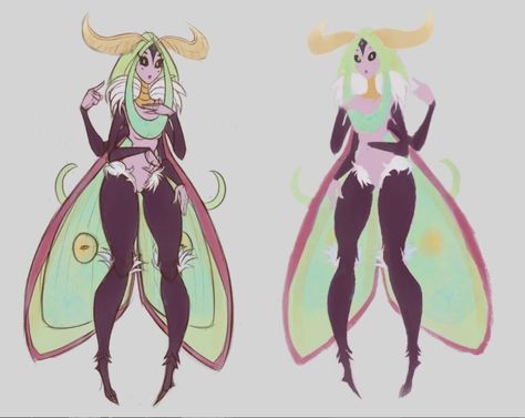 Antoine Berteloot - Luna Moth Girl Moth Oc, Moth Girl, Deer Drawing, Caracter Design, Moth Art, Luna Moth, Creature Concept Art, Original Character, Art Base