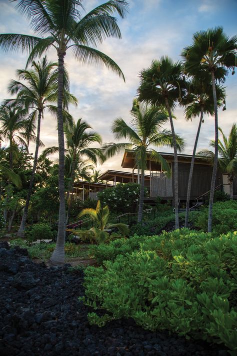 Kona Village Resort Is Reborn as the Ultimate Tropical Getaway Moorings Village Islamorada, Waikoloa Village Hawaii, Kona Village Resort Hawaii, Disney Polynesian Resort Club Level, Kona Beaches, Hawaiian Resorts, Mauna Loa, Lava Flow, Tropical Getaways