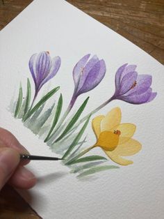 How To Paint Crocus, Crocus Flower Watercolor, Watercolor Crocus Flowers, Crocus Flower Painting, Watercolour Crocus, Spring Watercolor Ideas, Spring Watercolor Painting Easy, Crocus Painting, Watercolor Crocus