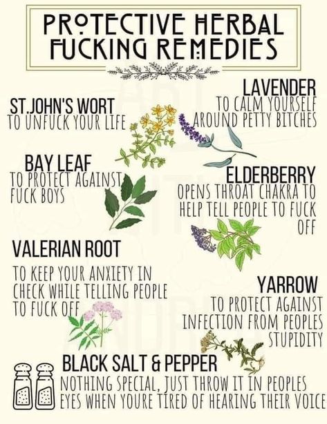 Herbs And Their Uses, Magickal Herbs, Witch Herbs, Funny Witch, Magia Das Ervas, Magic Herbs, Wiccan Spell Book, Magical Herbs, Witchcraft Spell Books