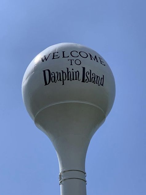 Dauphin Island Alabama, Dauphin Island, Vision Boards, The Morning, Alabama, Relaxation