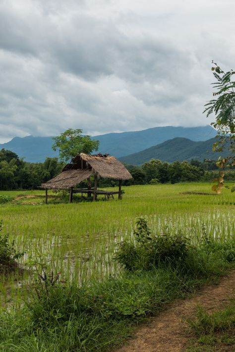 Some beautiful views along the way On The Way, Village Photos, Rice Field, Village Photography, National Park Photos, Beautiful Scenery Pictures, Scenery Pictures, Luang Prabang, Nature View