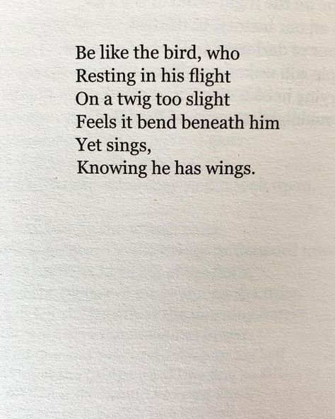 Secret Chords - apoemfortheday on Instagram: "Poem for Friday March 24th. Be Like The Bird by Victor Hugo." Poem About Birds, Bird Poems Quotes, Quotes On Birds, Free As A Bird Quotes, Poems About Birds, Frog Poem, Ocean Poem, Bird Poems, Bird Symbolism