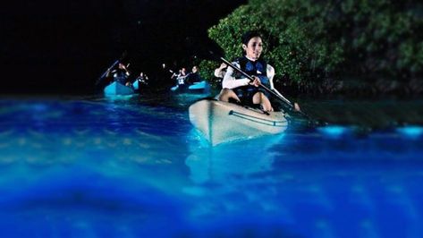 Experience Florida's Glowing Waters From A Clear-Bottom Kayak On This Magical Bioluminescence Tour Bioluminescent Kayaking, Florida Bioluminescence, Indian River Lagoon, Bioluminescent Bay, Puerto Rico Trip, Puerto Rico Vacation, Mermaid Stuff, Florida Adventures, Merritt Island