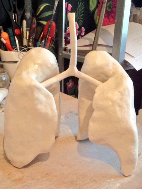 Porcelain lungs | Jemma Millen Ceramics Ceramic Anatomy, Real Lungs, Lungs Model, Anatomy Clay Sculpture, Lung Sculpture, Lungs Sculpture, Science Exhibition Ideas, Lungs Art, Body Craft