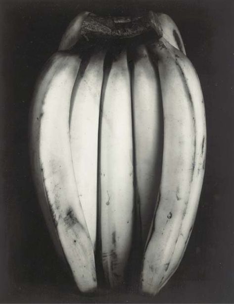 Edward Weston, Bananas, 1930. Tina Modotti, Andre Kertesz, American Photography, Edward Weston, Diane Arbus, Cindy Sherman, Alfred Stieglitz, Richard Avedon, Famous Photographers