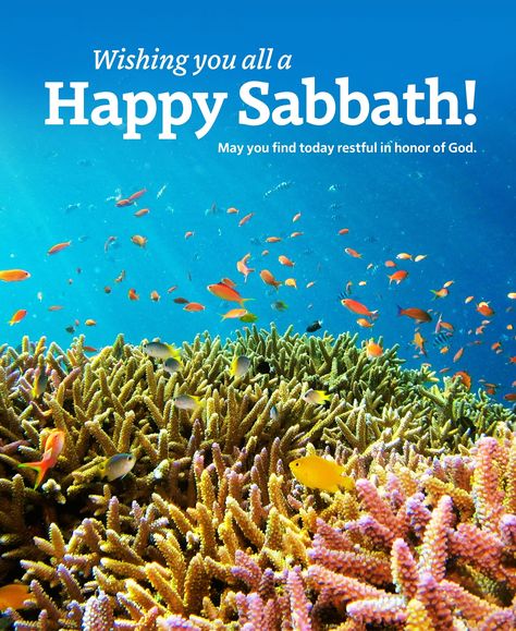 Wishing you all a very joyful and restful Sabbath! 🌅 Let’s take a moment to thank God for His constant warmth and love. Shine bright and enjoy this blessed day! #HappySabbath #SabbathRest #SabbathJoy Sabbath Rest, Happy Sabbath, Blessed Day, Thank God, Shine Bright, In This Moment, Let It Be, Quick Saves