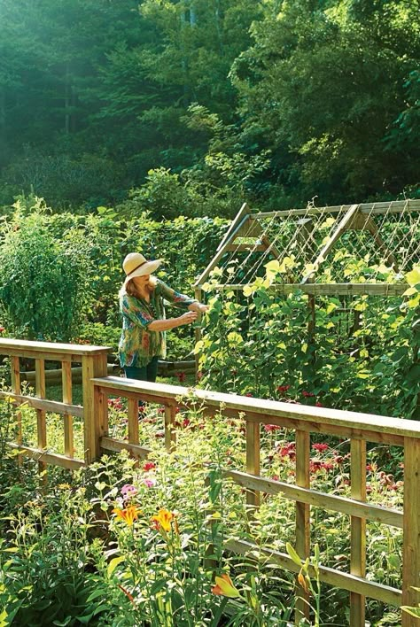 Southern Vegetable Garden, Magical Vegetable Garden, Cozy Vegetable Garden, Grocery Row Gardening, Cottage Core Vegetable Garden, Wild Vegetable Garden, Gardening Vision Board, South Carolina Gardening, Vegetable Garden Aesthetic