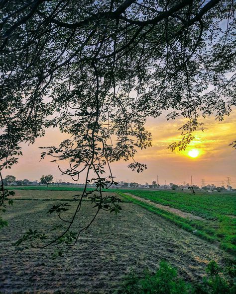 Village Morning Photography, Village Snap, Village Morning, Country Morning, Green Village, Nature Photography Trees, Morning Photography, Perfect Sunset, Blur Photo Background