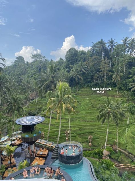 Alas Harum Bali, Cretya Ubud, Bali Ideas, Cny 2023, Bali Hotel, Hotel Bali, Bali Trip, Backpacking South America, Luxury Exterior