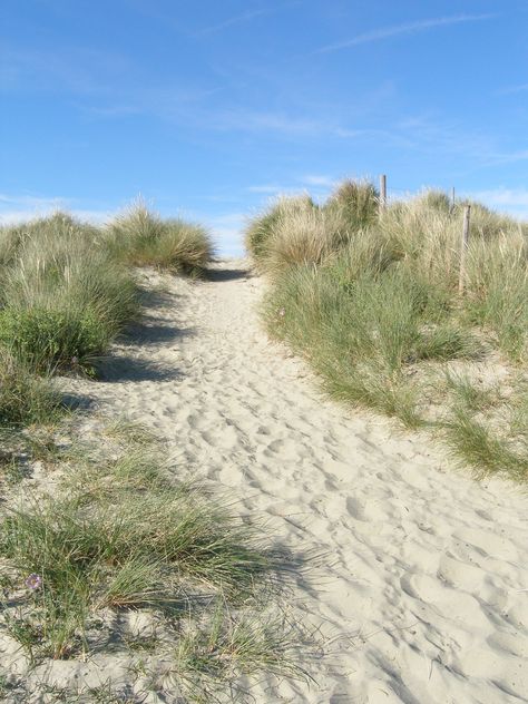 West Wittering England West Wittering, Fall Beach, Nautical Crafts, Beach Retreat, Beach Travel, Travel News, Pros And Cons, The Coast, Beach Trip