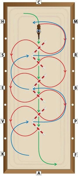 Fun Riding Exercises, Fun Horse Riding Exercises, Dressage Pole Exercises, Ground Poles For Horses, Horse Riding Pole Exercises, Equestrian Pole Exercises, Ground Pole Exercises For Horses, Horse Riding Exercises Flatwork, Horse Pole Work