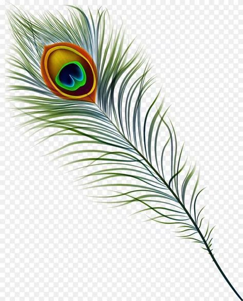 Feather Art Drawing, Peacock Leaf, Feather Png, Peacock Wings, Peacock Feather Art, Bird Cartoon, Canvas Art Painting Acrylic, Feather Bird, Photoshop Backgrounds Free