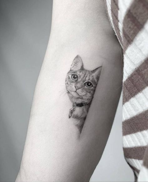 White Cat Tattoo, Small Cat Tattoo, Trash Polka Tattoos, Cat Portrait Tattoos, Post Tattoo, Cute Cat Tattoo, Tattoo Cat, Cat Tattoo Designs, Incredible Tattoos