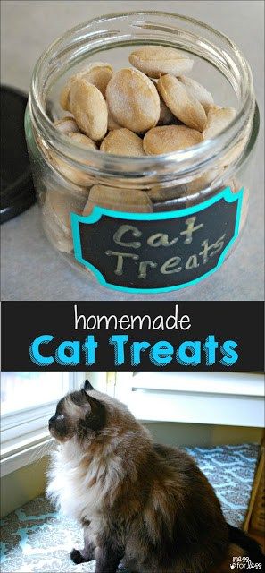 Homemade Cat Treats, Homemade Cat Treats Recipes, Diy Cat Treats, Homemade Pet Treats, Pet Treats Recipes, Chat Diy, Homemade Cat Food, Homemade Cat, Beachy Vibes