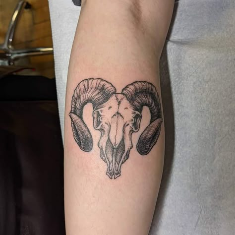 blackwork ram skull tattoo meaghan.rhea Bull And Ram Tattoo, Ran Skull Tattoo, Ram Tattoo Women, Ram Skeleton Tattoo, Black Ram Tattoo, Aires Ram Tattoo, Lamb Skull Tattoo, Rams Skull Tattoo, Aries Ram Skull Tattoo